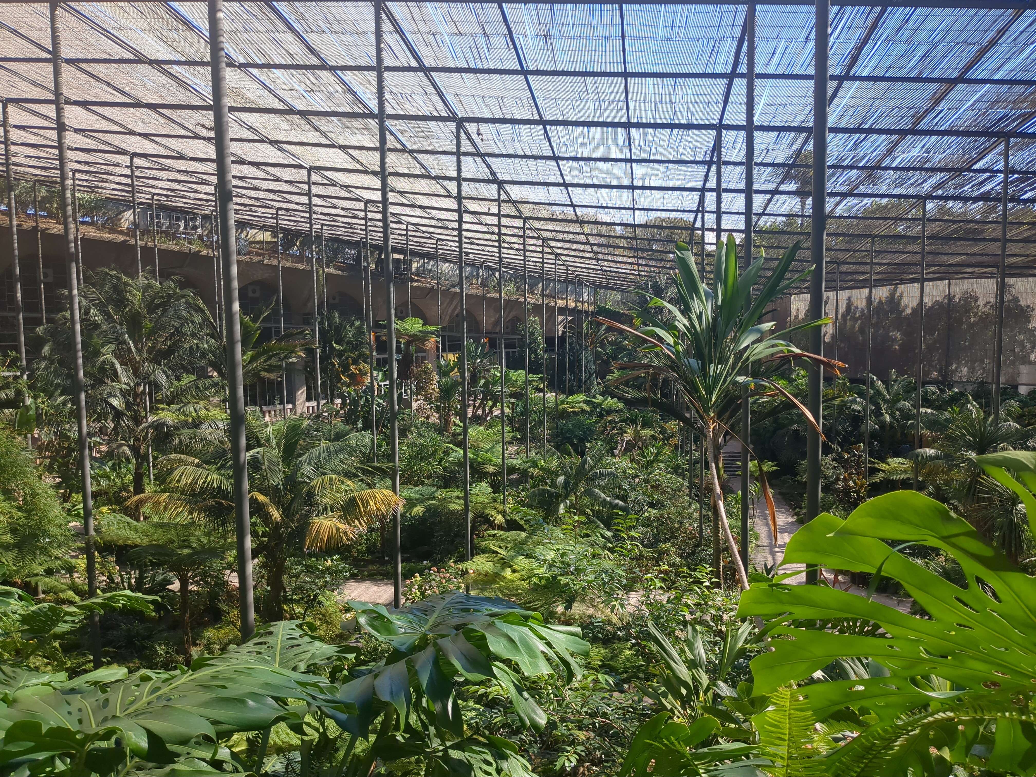 "a massive greenhouse"